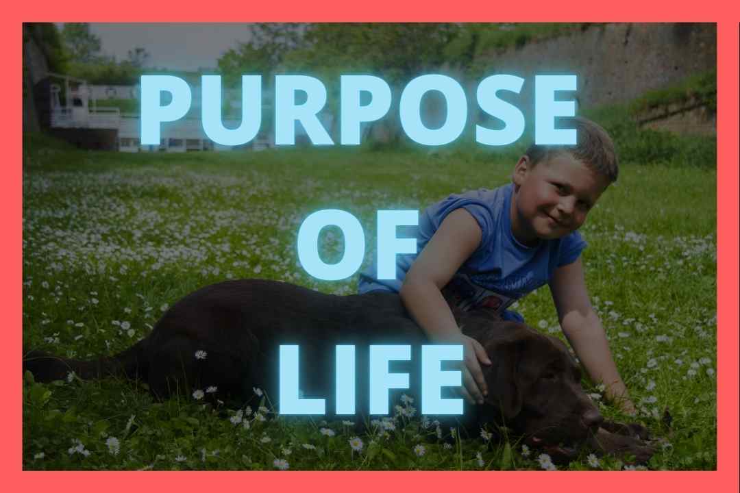 Purpose of Life #Happiness